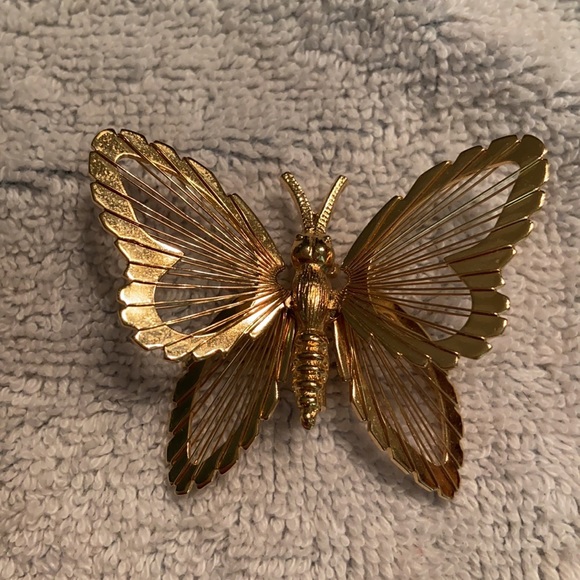 Bug/Insect Pin Lot - Picture 3 of 5